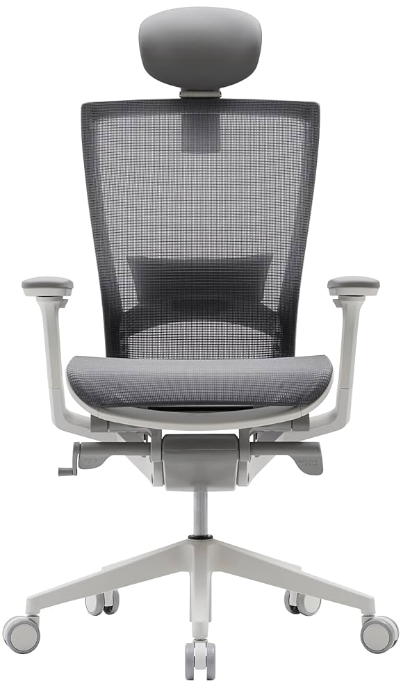 Amazon.co.jp: SIDIZ T50 Air All Mesh Ergonomic Office Desk